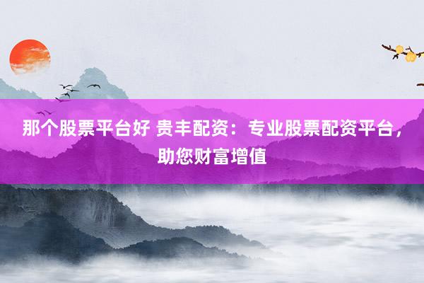 那个股票平台好 贵丰配资：专业股票配资平台，助您财富增值