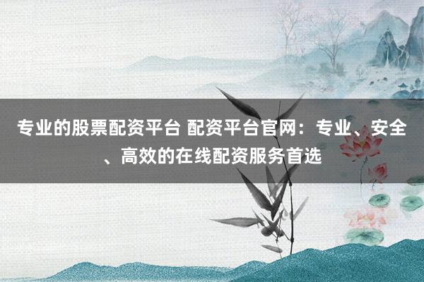 专业的股票配资平台 配资平台官网：专业、安全、高效的在线配资服务首选