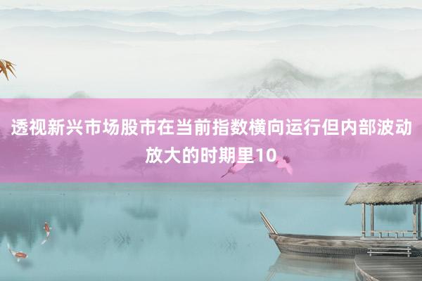 透视新兴市场股市在当前指数横向运行但内部波动放大的时期里10