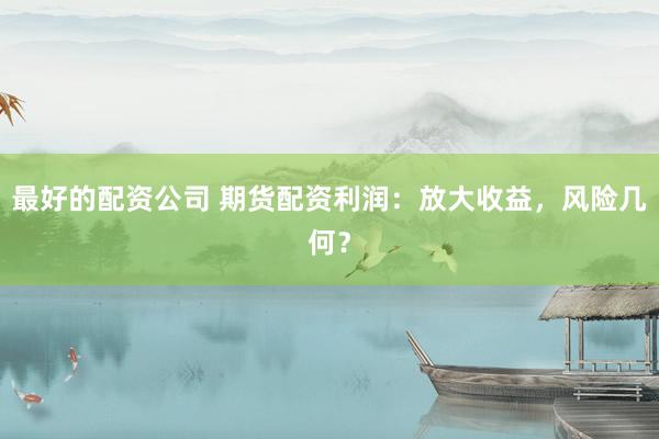 最好的配资公司 期货配资利润：放大收益，风险几何？