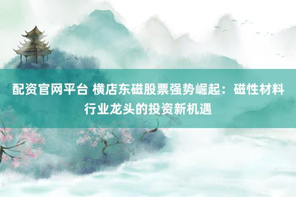 配资官网平台 横店东磁股票强势崛起：磁性材料行业龙头的投资新机遇